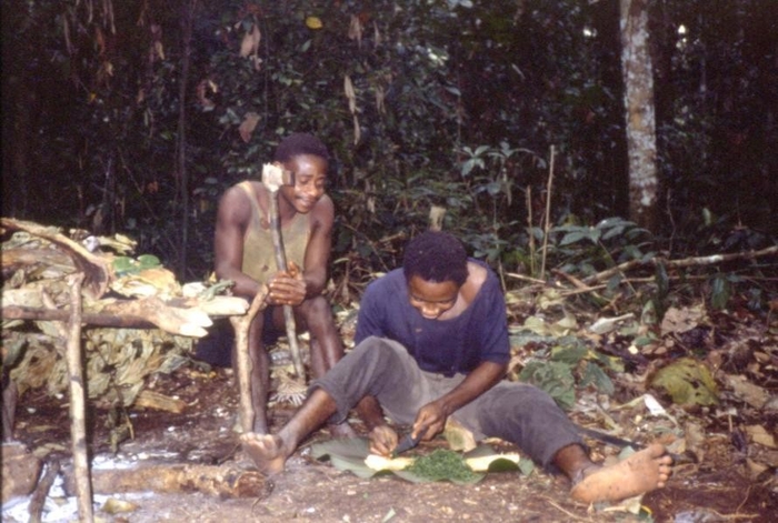 〈「ピグミー」の方々の生活の様子 ※写真提供は西原智昭氏〉