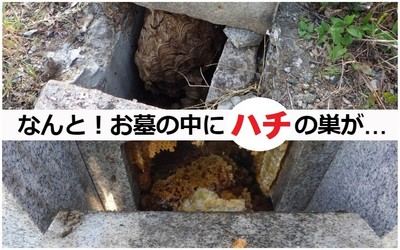 ※参考写真は、池渕石材工業株式会社が施工した特定のお客様のお墓の事例を示すものではありません。