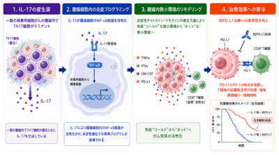 本研究の概要