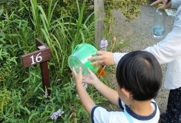 放虫の様子（昨年の様子）