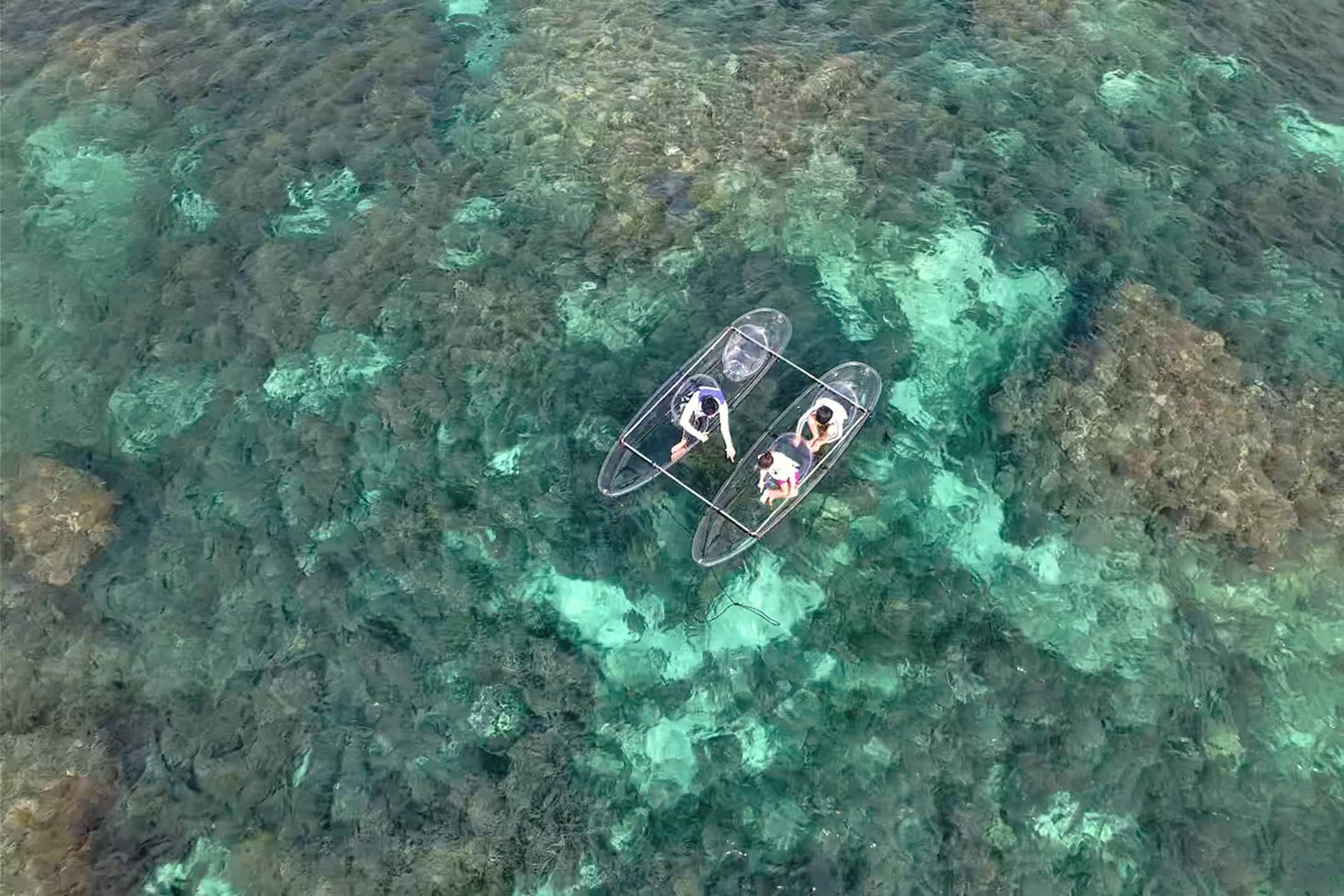 【リゾナーレ小浜島】クリアカヤックの船艇から珊瑚の生態系を間近に体感「珊瑚Academy ~夏休みの自由研究~」今年も開催~約360種の珊瑚が生息する北半球最大の珊瑚礁が舞台~|期間:2023年7月24日~8月31日の毎週月曜日、水曜日