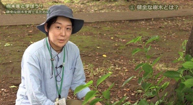 緑と水の市民カレッジ  オンライン講座お申し込み受付中！「樹木医と学ぼう！健全な樹木を育てるために」