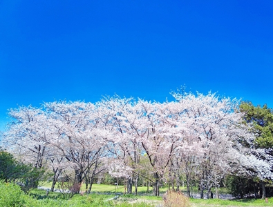 cdHXJbpRbPc8c16u670S.jpg?w=940&h=940