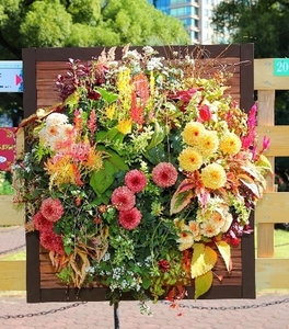 cdaJrP05VNyRvZlBPPwp.jpg?w=940&h=940