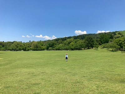 ce058BDyxDrZ9oJpxpaL.jpg?w=940&h=940