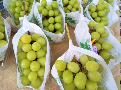 cfabc4CdW34cvBX0q4QS.jpg?w=940&h=940