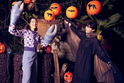 cfbSJbMN6gNn8OFpcKVg.jpg?w=940&h=940