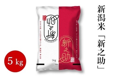 cfc5wt3eq6yDcIBfcKqE.jpg?w=940&h=940