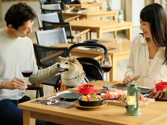 【3周年記念】北軽井沢の愛犬と泊まれるホテルが3大特典付きプラン販売｜2025年4月1日～