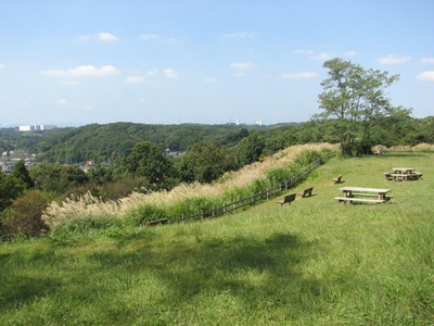 cgjisFND9h2HXwFdrEK8.jpg?w=940&h=940