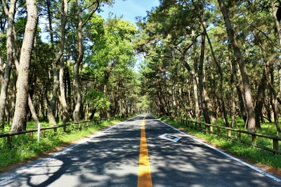 cjAXoC9fAv8A456fxz2D.jpg?w=940&h=940