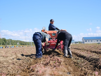 cjNer63mcfoYt5MLJPvr.jpg?w=940&h=940