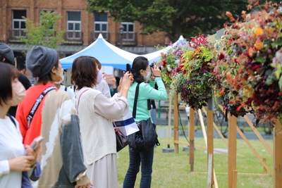 cjQqPFmsI1q5KaLM2R81.jpg?w=940&h=940