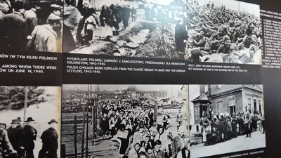 cjroaJhYLaIurZcN6HH5.jpg?w=940&h=940