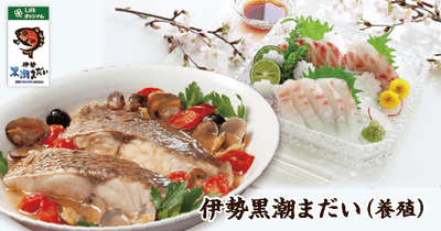 ck2JrkwiWHoDodyMcLYX.png?w=940&h=940