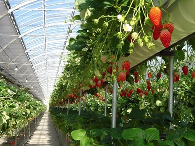 cm3nT3ywSYDMpRtzPgAj.jpg?w=940&h=940