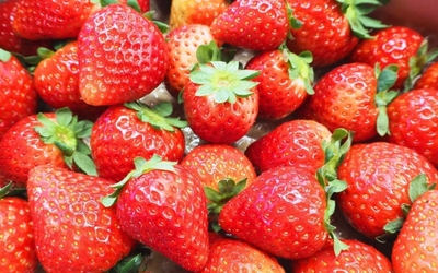 cnAcW4xawrlzv2teOfHn.jpg?w=940&h=940