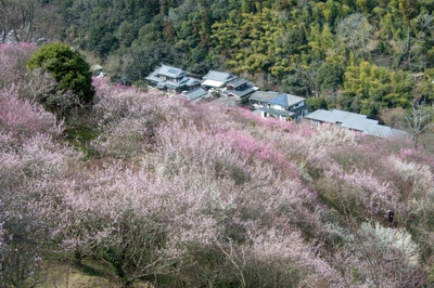 coIQeGxVtw8JZzDkYdsD.jpg?w=940&h=940