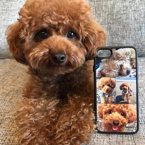 coQ47S6dhkbnynnvBXo9.jpg?w=940&h=940