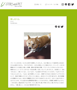 cowQA6rL7JTgWkh6JJ3v.png?w=940&h=940