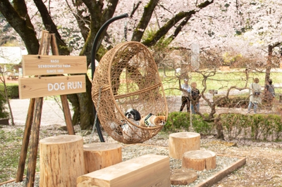 cr4W76sQxHTU5QDxKsks.jpg?w=940&h=940