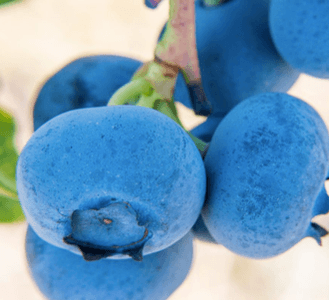 cslPAxNqzTuZbdhk3GGV.png?w=940&h=940