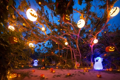 cspq9DpbAe4d1cICroI7.jpg?w=940&h=940