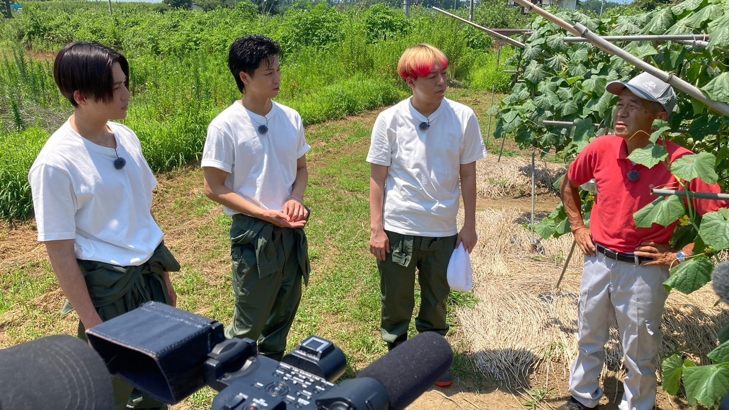 FANTASTICS畑 全員集合!福島夏野菜スペシャル 場面写真(9)