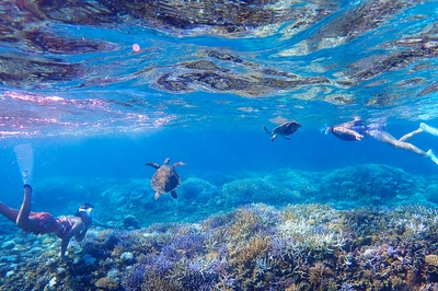 ctbntMCysCxoeHp9PqCE.jpg?w=940&h=940