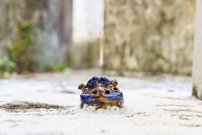 ctztxjBxS8Cc2AOzRk0b.jpg?w=940&h=940