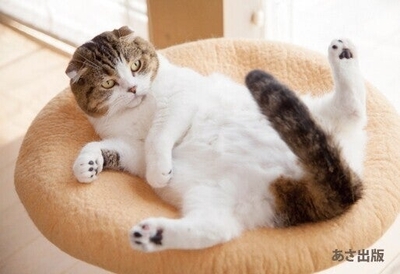 cv3vFYbE707u0yYpqhGW.jpg?w=940&h=940