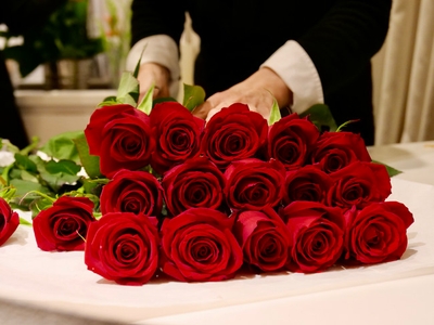 cv9MB62LdPbmX9MYQ4DY.jpg?w=940&h=940