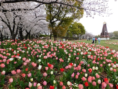 cvMYOKBKpKGeuloodMZt.jpg?w=940&h=940