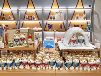 揃えて愛でたい大人気の「ハチふるぬいぐるみ」に 着物バージョンが新登場！ フォトスポットとして、ぬいぐるみサイズの “かまくら”や“和室”がぬい撮りファンに好評！