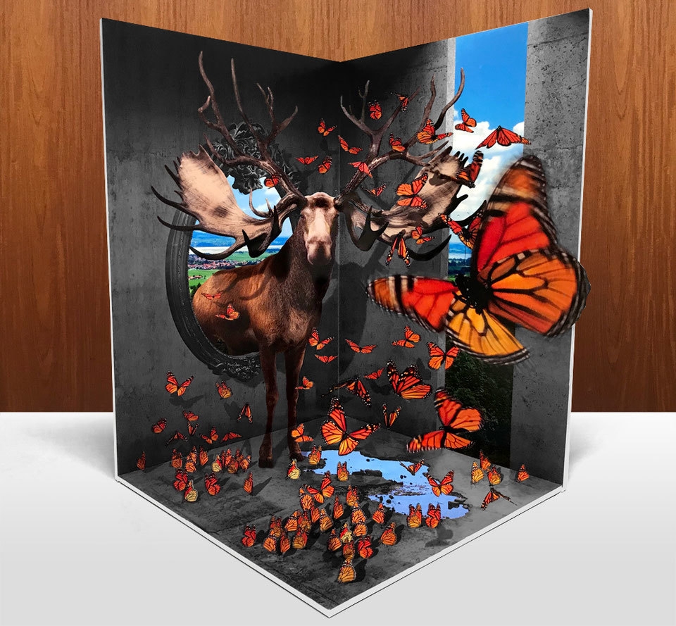 飛び出したり、浮かんだり。 見て、撮って、楽しめる、摩訶不思議な