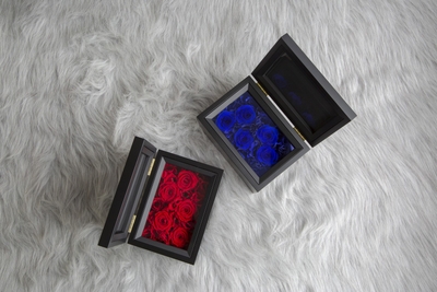 cx1DAJeMl9HuqmBDH7JG.jpg?w=940&h=940