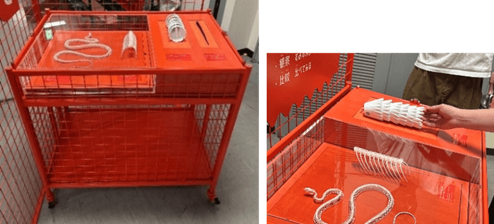 【展示台3】骨格標本とハンズオン