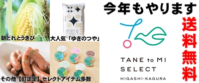 昨年大好評！北海道東神楽町から朝どれとうきびを送料無料でお届け、今年も開催！