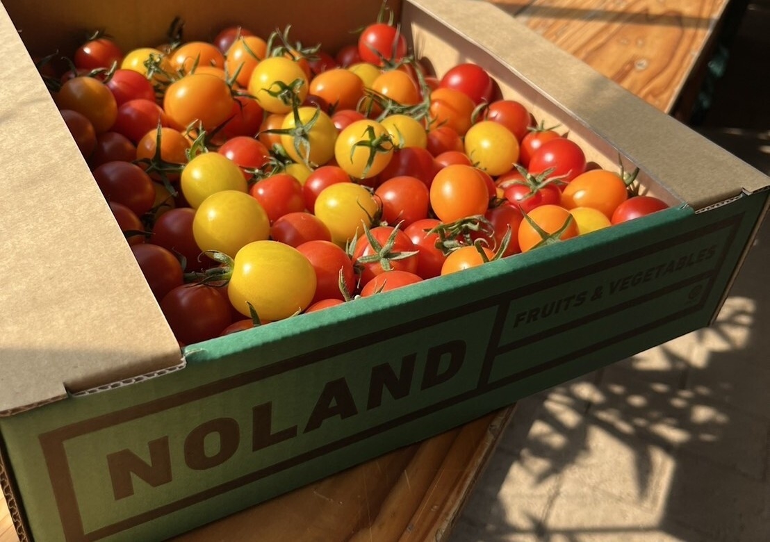 ミニトマト(ミックス)