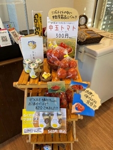 設置の参考イメージ