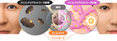 d1PR4blUlLp8zmZZBV35.png?w=940&h=940