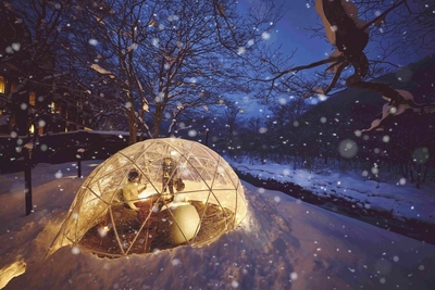 d1QsOK0KuXrUGyLTumGc.jpg?w=940&h=940