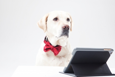 d1ZzA7AkP4r4bQ0QziA7.jpg?w=940&h=940