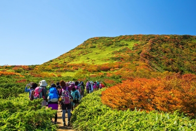 d1weyGuYvQ9BRyyGzZyh.jpg?w=940&h=940