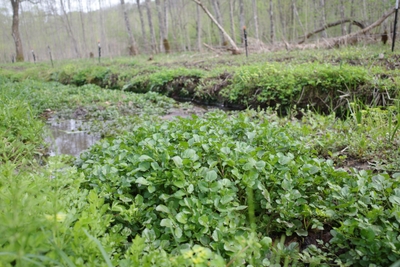 d2QbYGwKWH3tDz445Qi2.JPG?w=940&h=940