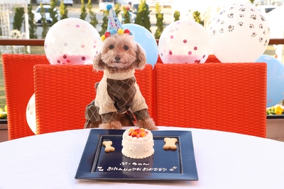 d2oKMM4dx5J4e9h03yv5.jpg?w=940&h=940