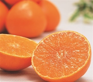 D2raocithnoodn0spqck