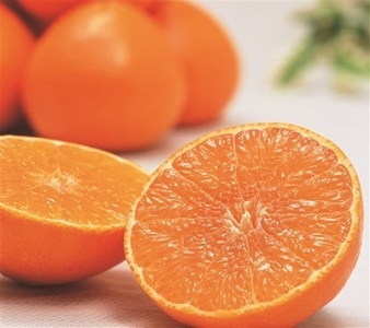 d2raOCithNOoDN0sPQcK.jpg?w=940&h=940