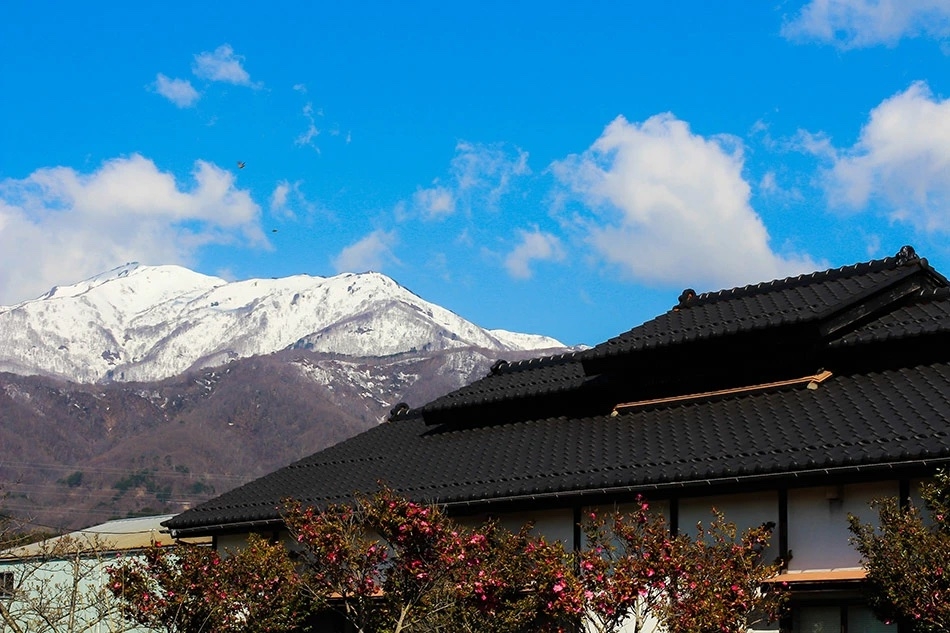 新潟県・佐渡島産の究極の酒米を使用