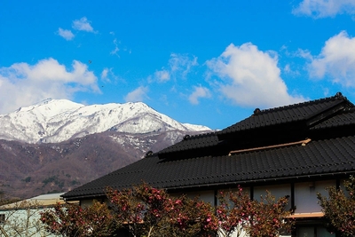 新潟県・佐渡島産の究極の酒米を使用